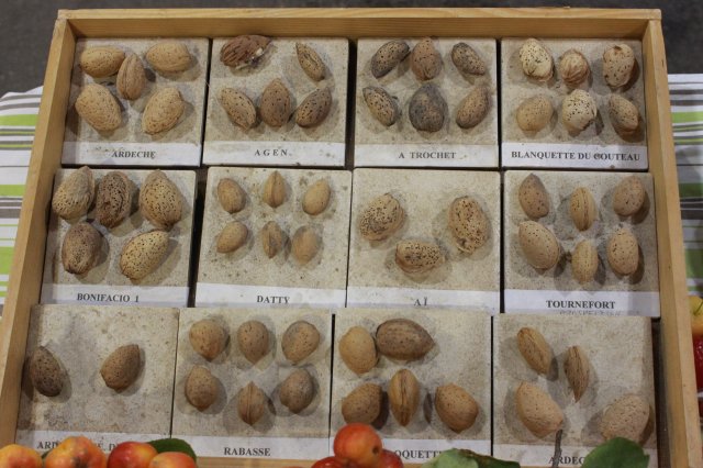 6 paca 72 amandes
